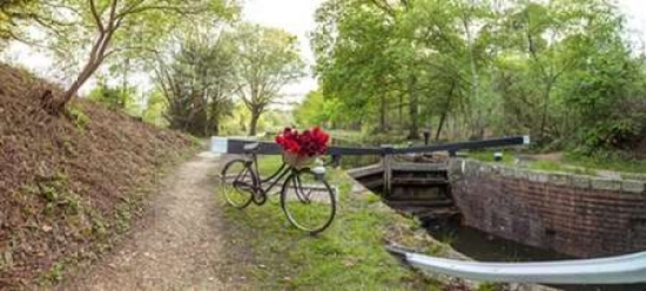 Bicycle with bunch of red roses by the canal Poster Print by Assaf Frank - Item # VARPDXAF20160512062X